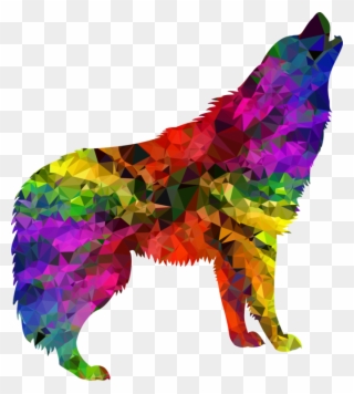 Gray Wolf Black Wolf Blanket Thompson Park Zoo And - Colourful Wolf Clipart - Png Download