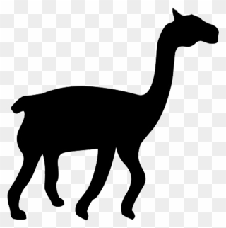 Llama Camel Silhouette Cat Drawing - Llama Silhouette Png Clipart