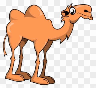 Cute Camel Clipart Funny Pictures - Cute Cartoon Camel - Png Download