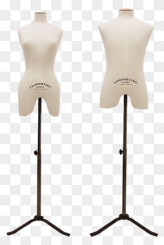 Mannequin And Bust Form Clipart