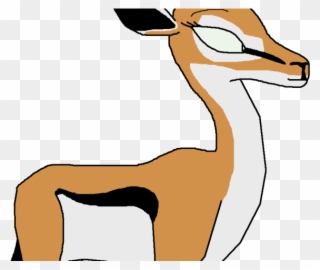 Gazelle Clipart Springbok - Png Download
