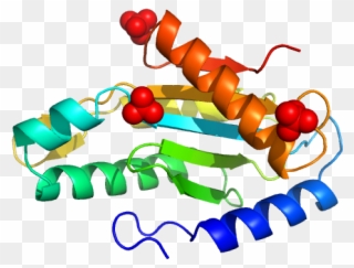 Eal/ggdef Domain Protein Pdb Model Clipart