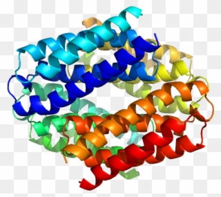 Uncharacterized Protein Pdb Model Clipart
