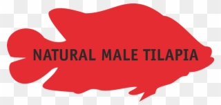 Our Team Consists Of Well Trained Biologists And Aquaculturists Clipart
