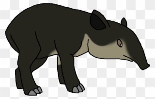 Baird's Tapir , Also Known As The Central American Clipart
