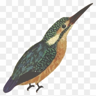 Free Clipart Of A Kingfisher Bird - Png Download