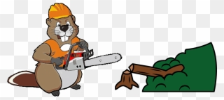 Full Tree Removal, Trimming, Pruning, And Stump Grinding Clipart