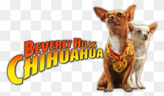 Beverly Hills Chihuahua Image Clipart