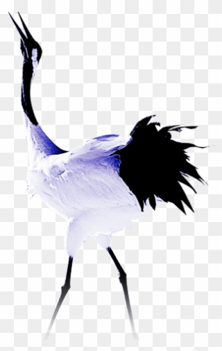 Sandhill Crane Clipart Stork Bird - Png Download