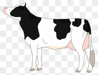 Beef Vector Hereford Cow Clipart