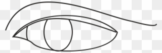 Line Art Drawing Eye Diagram - Eye Line Drawing Simple Clipart