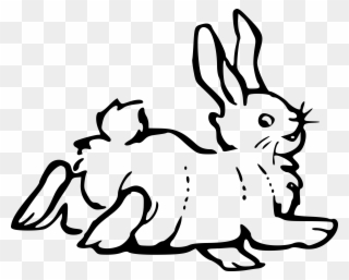 Rabbit Black And White Bunny Clipart Black And White - Rabbit Clip Art - Png Download