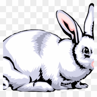 Rabbit Clipart Free Rabbit Clip Art Images Clipart - White Rabbit - Png Download