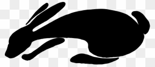 Yves Guillou Lievre Black White Line Art Scalable Vector - Rabbit Clip Art - Png Download