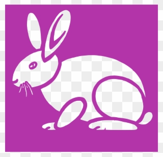 Cartoon Clipart Domestic Rabbit Easter Bunny Clip Art - Clip Art - Png Download