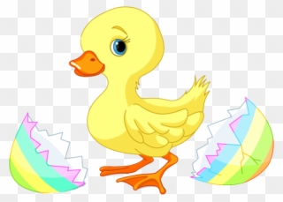 Easter - Baby Duck Clipart Png Transparent Png