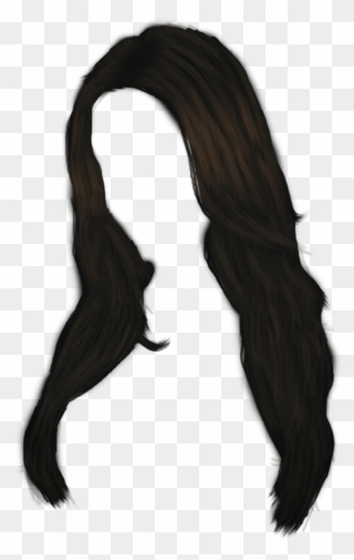 Hair Png File - Black Straight Hair Png Clipart (#34542) - PinClipart