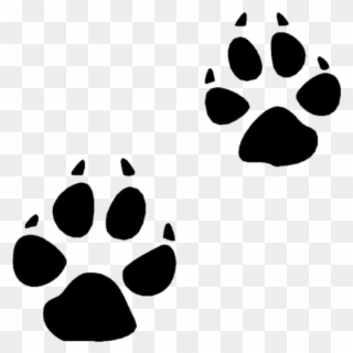 Bobcat - Coyote Footprints Clipart