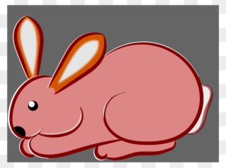 All Photo Png Clipart - Hare Transparent Png