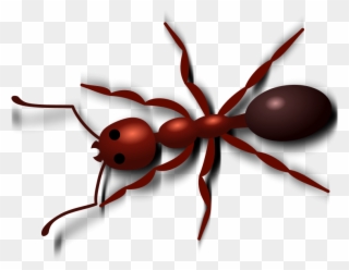 Picnic Clip Art Ants Free Clipart Images - Ant Clip Art - Png Download