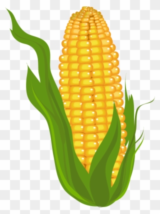 Clip Arts Related To - Corn Clipart Free - Png Download