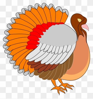 Familie Free Architetto Tacchino - Thanksgiving Clip Art - Png Download