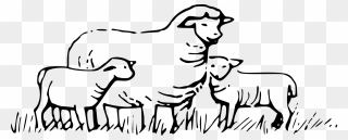 Flock Of Sheep Clipart 101 Clip Art - Sheeps Black And White - Png Download