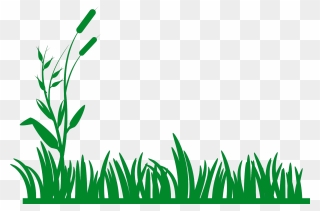 Grass Pictures Clip Art - Grass Border Clipart - Png Download