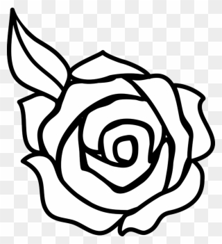 Rose Flower Clipart - Drawing Roses - Png Download