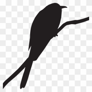 Yellow-billed Cuckoo - Cuckoo Bird Icon Clipart