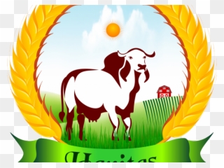 Bull Clipart Gir Cow - Cattle - Png Download