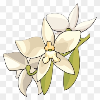Flower Clip Art Panda Free Images - White Orchid Flower Clip Art - Png Download