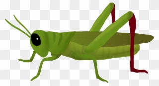 Grasshopper Clipart Mart - Grasshopper Png Transparent Png