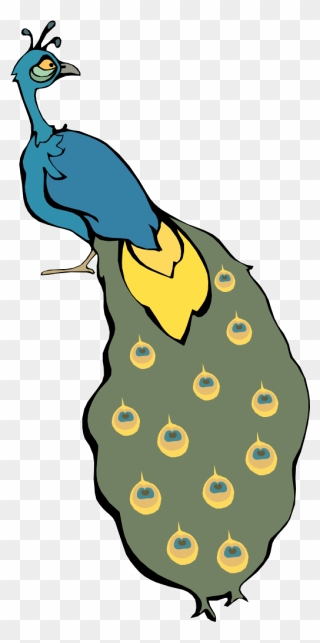 Twitter Bird Flower Cartoon Bird 14 Xochi - Cartoon Peacock Clipart