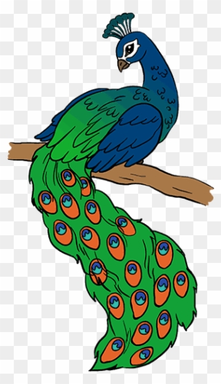Peacock Drawing - Drawing Picture Of Peacock Clipart