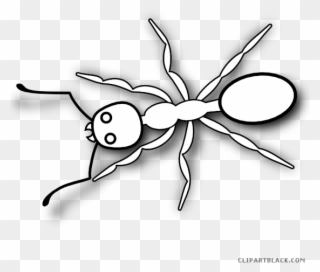 Banner Black And White Stock Ant Clipart Black And - Pencil Drawings Of Ant - Png Download