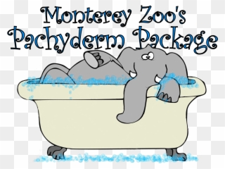 Pachyderm Package Logo - Elephant In A Bathtub Clipart