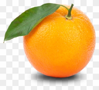 Free Orange Png Transparent Images, Download Free Clip - Naranja Imagenes De Frutas