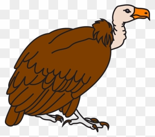 In The Desert Clipart Vulture - Vulture Clipart - Png Download