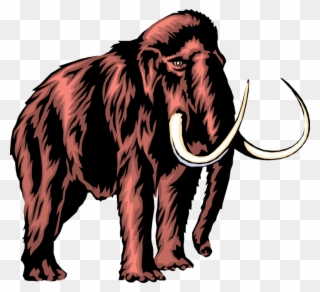 Prehistoric Woolly Image Illustration Clip Freeuse - Mammoth Clipart Png Transparent Png