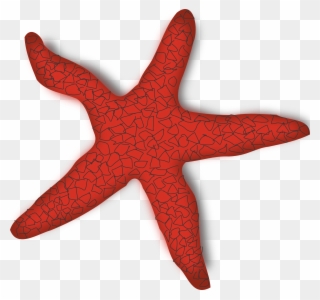 Clipart Starfish - Sea Star Clipart - Png Download