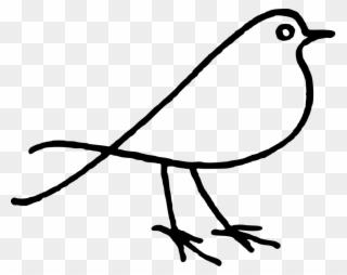 Bird Doodle Parrot Drawing Download - Bird Doodle Png Clipart