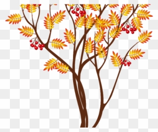 Blossom Clipart Cute Fall Tree - Береза Осень Пнг - Png Download