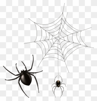 Spider And Cobweb Png Clipart Image Transparent Png