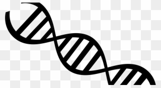 But Since Genetics Only Makes Up For 30%, What Are Clipart