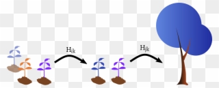 Unfortunately, Even This Small Change Faces Us With Clipart