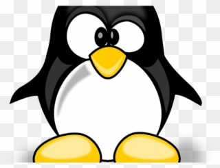 Jackass Clipart - Png Download