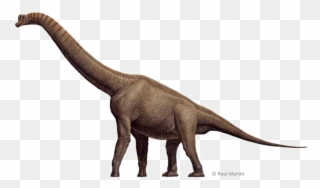 Brachiosaurus Download Free Transparent Image Hd Clipart