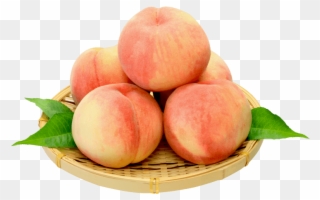 Pear Fruit Png Free Images Toppng Transparent Ⓒ Clipart