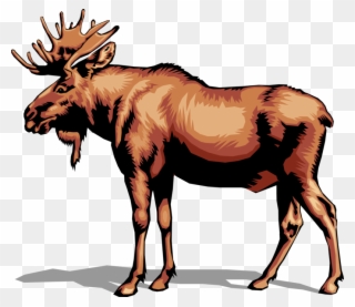 Vector Illustration Of Large, Long-headed Mammal Canadian Clipart